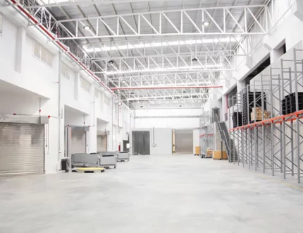 Главная Главная