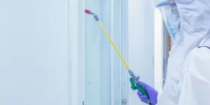 Главная Главная